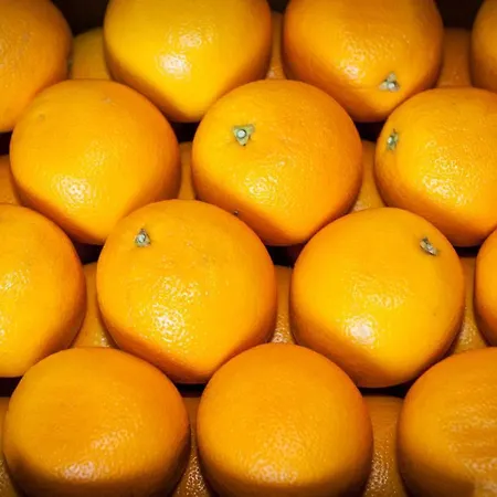 La Tinassara 2* Lazise