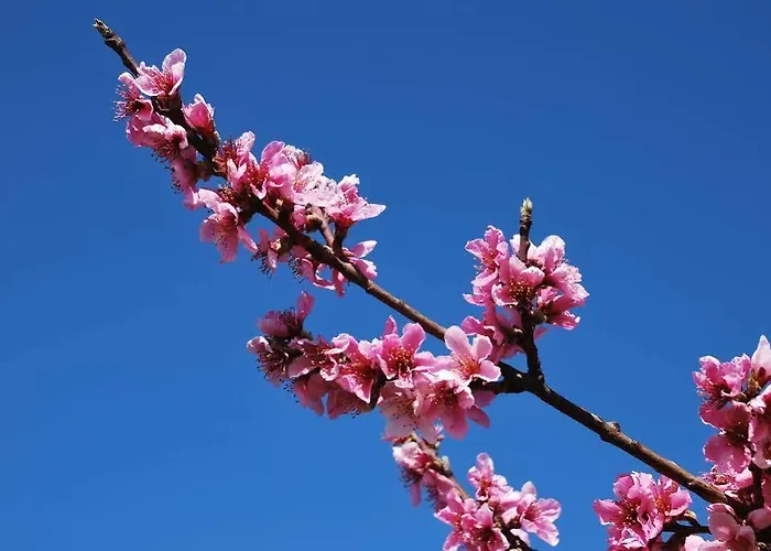 La Tinassara فندق مبيت وإفطار 2*